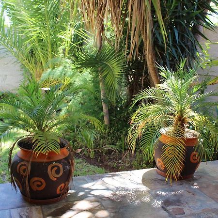 Van Biljon Cottage No Loadshedding Oudtshoorn Εξωτερικό φωτογραφία